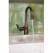 Moen Bar Faucets