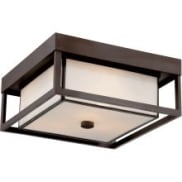 Outdoor Ceiling Fixtures