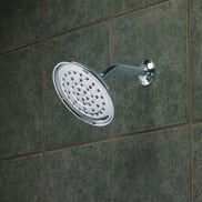 Moen Shower Heads