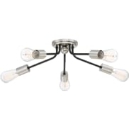 Ceiling Fixtures