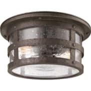 Outdoor Ceiling Fixtures