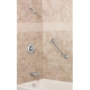 Moen Tub and Shower Faucets