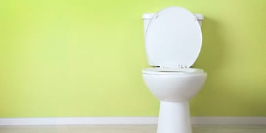 Toilet Seat Ing Guide How To Find