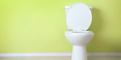 Toilet Buying Guide