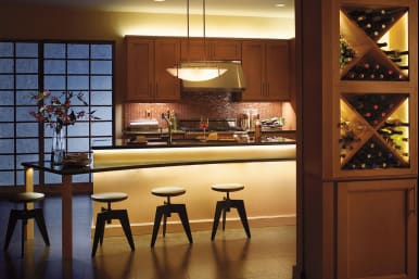 Under cabinet light 2025 bar
