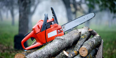 Chainsaw Buying Guide, Buying a Chainsaw