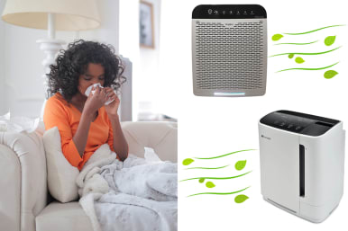 Air purifier for seasonal allergies online