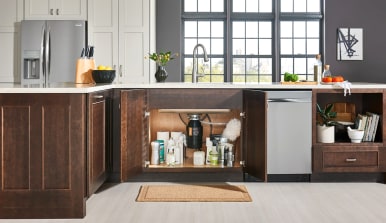 Dishwashers with built in garbage disposals 2025