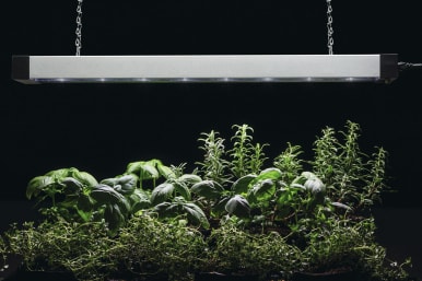 Edison on sale grow light