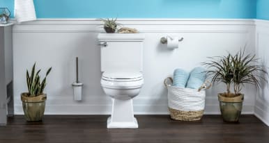 Helping you find and locate toilet tank lid stores with the most