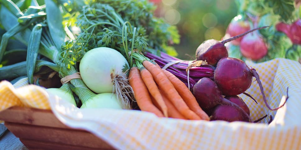 Onions, carrots, radishes in a basket, sunlight coming from behind.