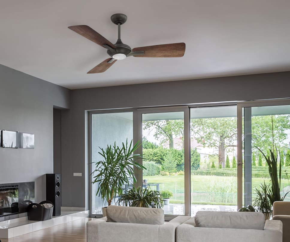 Living room, window, plants, grass. 3 Blade ceiling fan.