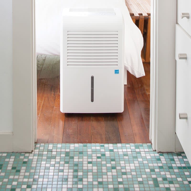 Air Purifiers & Indoor Air Quality Allergy And Air