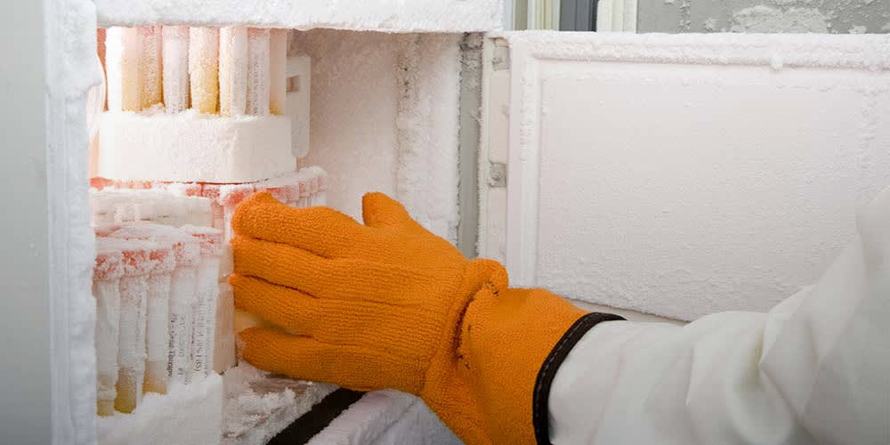 Residential and Commercial Ice Makers & Refrigeration Icemakerdirect